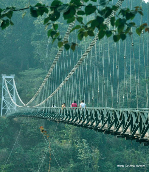 Hanging bridge